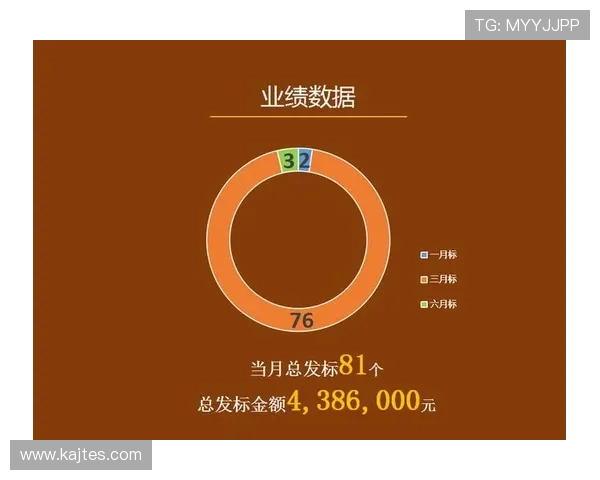 乐投控股有限公司:行业政策变化对公司运营的影响及应对措施 乐投控股有限公司:行业政策变化对公司运营的影响及应对措施